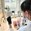 Udruženje LIPA: Smrtnost obolelih od hočkinovog limfoma u Srbiji veća nego u Evropi