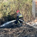 Izgoreo vinograd u donjoj vrežini: Jedna osoba povređena pokušavajući ga ugasi požar