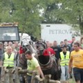 (Foto) u sivcu bila „Štraparijada“, čuva se tradicija Kad konji povuku trupce proradi adrenalin