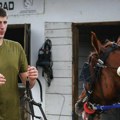 Konjički sport i Nikola Jokić: Sve što treba da znate o konjičkom sportu u Srbiji