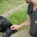 Лабрадор спасао младића: Прича из Прњавора показује да је пас најбољи пријатељ човеку