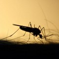 U subotu prvo ovogodišnje zaprašivanje komaraca