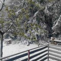 Sprema se veliko nevreme, duvaće olujni vetrovi, padaće i sneg, popaljeni meteo alarmi: Rhmz izbacio najnoviju prognozu, evo…