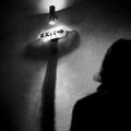 Macura: Od 2011. zabeleženo 430 femicida, mali broj ubijenih prethodno prijavi nasilje
