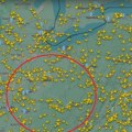 Pogledajte situaciju sa letovima nakon hemijske katastrofe: Avioni menaju pravac