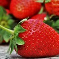 Agronom upozorava: Obratite pažnju na miris i boju! Evo kako da najlakše prepoznate jagode zatrovane pesticidima