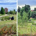 Otvoren park na 1,8 hektara kod Spensa, Novi Sad bogatiji za još jednu zelenu površinu