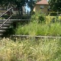 SNS pravi žurke, grad u korovu i zapušten (FOTO)