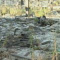 Nepoznati vlaknasti materijal zabrinuo stanare Bloka 64: Sumnjaju da je azbest i strahuju za zdravlje