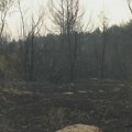 N1 u Deliblatskoj peščari: Situacija s požarima mirnija i stabilnija