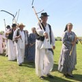 Vešti žeteoci čuvaju od zaborava tradiciju žetve na nekadašnji način