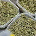 Uhapšen diler u Nišu: Našli mu kutije za pakovanje hrane pune marihuane