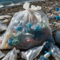 Više od 60 odsto gljivica iz priobalja Havaja može da jede plastiku