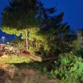 Vetar od 110 km/h rušio sve pred sobom, jedna osoba se bori za život: Posledice silovitog nevremena u Istri