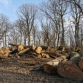 Počela javna rasprava o nacrtu zakona o prometu drveta i drvnih proivoda - cilj zaštita šuma