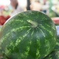Cena lubenica na tezgama: Da li su one iz uvoza dovoljno slatke? Evo šta kažu Vranjanci