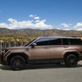 Kia i Hyundai postaju najveće žrtve kineske ekspanzije