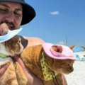 Snimak dve mace koje su prvi put na plaži je nešto najslađe ikada: Imaju i šeširiće, i 4 miliona ljudi se topi od miline