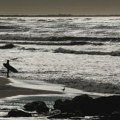Na plažama na Floridi najveći broj registrovanih napada ajkula