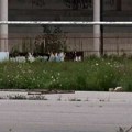 Potpisan sporazum sa Ministarstvom odbrane: Remontov stadion predat Čačku na korišćenje