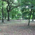 Obnavlja se stari park u Temerinu, niču nove pešačke staze, biće postavljene i skulpture. Opština u Bačkoj sve češće na…