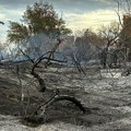 FOTO, VIDEO: Ovako izgleda Oficirac posle velikog požara