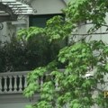 Ovo je renovirana Piksijeva vila u centru grada: Kuću na Dedinju je prodao za 2,5 miliona evra, ovo su detalji