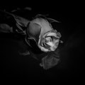 Umro reper (23) Mesecima bio u komi nakon brutalnog napada