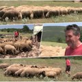 Poslednji čuvar starog zanata: Miljan iz Malog Suvodola sam čuva 80 ovaca i ne zna ko će ga naslediti