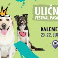 Sutra počinje Festival pasa svih rasa „Ulični psi”