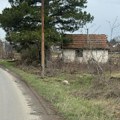 "Odjednom se pojavila ispred mene, kao duh - sva mračna!" Živica premro od straha na putu kod Zrenjanina, sad slavi dva…