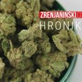 Pronađena veća količina zasađenih biljaka marihuane, osumnjičenom određeno zadržavanje