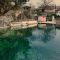 Užas u selu Popšica kod Svrljiga: muškarac zaklao psa i bacio ga u javni bazen