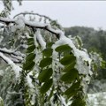 "Jesen stiže, Dunjo moja" u ovom delu BiH osvanuo mraz! (foto)