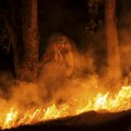 Veliki požar iznad Bara: Vatra se razbuktala na nepristupačnom terenu