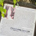 Predlog da Milica Stojadinović Srpkinja dobije spomen-ploču u Bukovcu