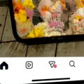 Instagram testira novi izgled