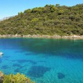 Ešerihija koli u moru kod Korčule, ne preporučuje se kupanje