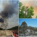Kad vatra prođe, započinje borba za oporavak prostora koji, nažalost, više nikada neće biti onakav kakav smo poznavali…