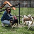 KRAGUJEVAC DOBIO PET PARK ZA KUĆNE LJUBIMCE: Lepo i psima i vlasnicima