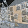 Novosadski inspektori otkrili više od 25 kg marihuane u vozilu Kraljevčana (FOTO)