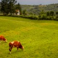 Држава даје по 20.000 динара: Рок за пријаву до 30. септембра, ево ко може да добије субвенције
