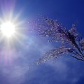 Danas najtoplije u Kikindi: Od petka do srede u Srbiji nestabilno