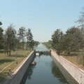 Dok se čeka zvaničan uzrok pomora ribe u Kucuri, slični slučajevi zabeleženi i kod Bečeja i Sente