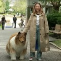 Japanac potrošio 13.000$ kako bi „postao“ Lesi, izašao u prvu šetnju i upoznao nove prijatelje (VIDEO)