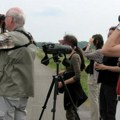 Evropski vikend posmatranja ptica i u Srbiji 30. septembra i 1. oktobra organizuju se izleti u prirodi