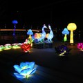 Kineski festival svetla će, tradicionalno po 6. put obasjati Limanski park u Novom Sadu