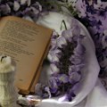 Konkurs „Cvetni cvetnik“: Nagrada za najlepšu pesmu o cveću