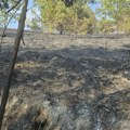 Trebinje: Kiša ugasila najveći deo požara, ali i dalje tinja