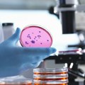 Otpornost mikroba i bakterija na antibiotike postaje pretnja po ljudsko zdravlje i ekonomiju